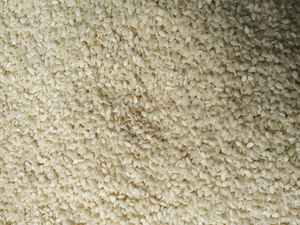 Graines de sésame décortiquées de qualité export, blanches, 99,9 % de pureté, 1 à 2 % d'humidité, emballées sous vide pour l'industrie de la confiserie et de l'alimentation - Product Image 4