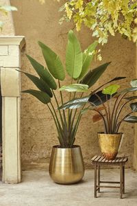 Jardinière décorative en métal doré, parfaite pour une utilisation toute l'année dans les jardins, les patios et les véranda, avec une durabilité longue durée - Product Image 6