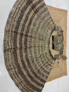 Magnifique collection de lehenga Sabyasachi, magnifiques broderies, zari, codage et magnifiques travaux de paillettes - Product Image 5