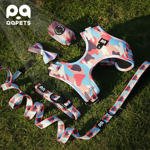 Set tali kekang anjing pribadi dan kalung hewan peliharaan, desain pola bunga hati untuk Aksesori Jalan - Product Image 6