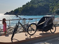 Remorque de vélo tout-terrain en alliage d'aluminium KS-200 avec suspension indépendante et siège inclinable, capacité de charge de 35 kg