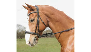 Bride cavesson anatomique en cuir de qualité supérieure Bride de cheval en cuir fantaisie avec coutures fantaisie pour l'équitation de la marque Indian - Product Image 5