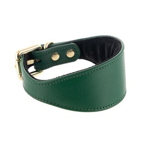 Collar de perro sabueso de cuero verde de alta calidad para galgo y Whippet - Product Image 2