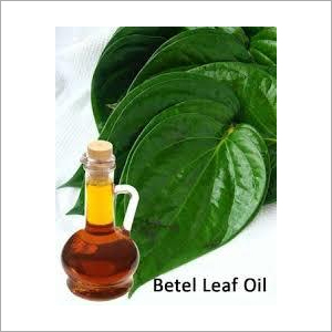 Huile pure et huile essentielle de feuille de betel, étiquette privée et approvisionnement en vrac, huile essentielle de parfum, qualité aromathérapie, en provenance d'Inde - Product Image 5