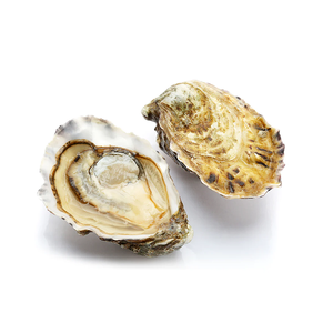 Entrega rápida de ostras kaki cultivadas con concha, listas para suministro a granel constante - Product Image 2