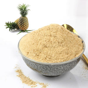 Polvo de piña pura al por mayor polvo de grado premium de piñas precio más barato de Vietnam - Product Image 1