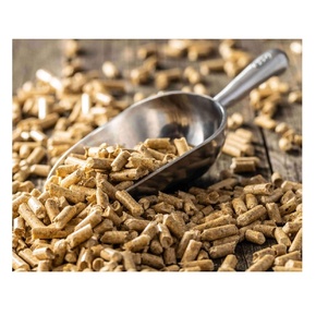 High Density Hardwood Wood Pellets Wholesale Premium Grade Low Moisture Biomass Fuel For Industrial Boilers And <b>Stoves</b> - Product Image 6