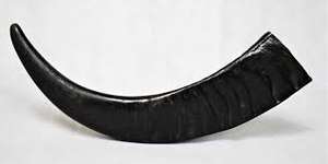 Puntas Redondas de Cuerno de Búfalo de Buena Calidad, Fabricante de Puntas Redondas de Cuerno de Búfalo de Calidad Natural para Regalos y Manualidades - Product Image 4