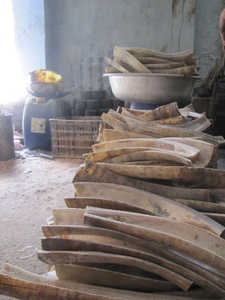 100% bande de corne de buffle naturelle et meilleure qualité de corne de buffle d'eau longues bandes d'arc pour le prix de gros - Product Image 2