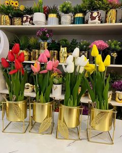 Metal Decorative Planter Suitable For Stylish Table Centerpieces And Indoor Garden Arrangements - Product Image 3