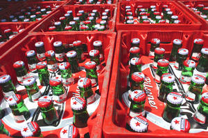 Premium indian Beer Bintang Pilsner | Comes in Cans and glass <b>bottle</b> - <b>For</b> sale at wholesale prices - Product Image 2