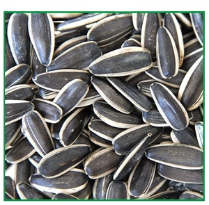 High Quality <b>Sunflower</b> Seed for Sale - Product Image 2