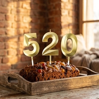 Bougies d'anniversaire en cire de paraffine en gros, sans fumée, dorées, pour gâteaux d'anniversaire, pâtisseries et desserts