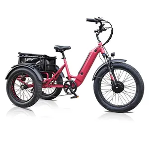 Hydraulic Brake With Power Cut-off Electric Tricycle Fat Tire 3 Wheel Electric Tricycle