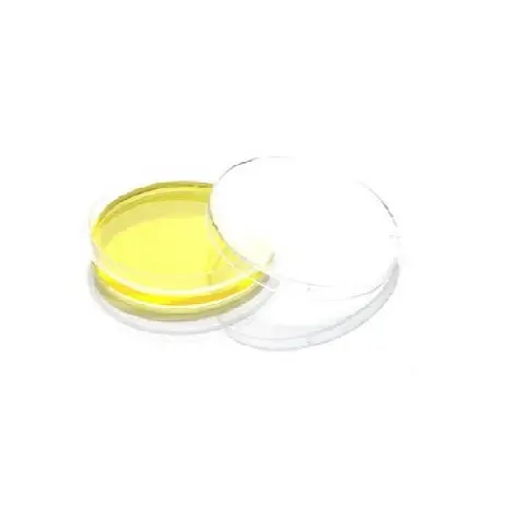 Disposable Medical PS Petri Dish With Grid Quality Assured Plastic Tissue Culture Petri Dish Supplier From India
