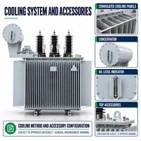 Transformateur de distribution immergé dans l'huile triphasé APEX S13 1000-2500 kVA 22 kV/400-415 V pour projets EPC d'infrastructure 50/60 Hz