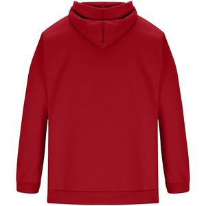 Venta al por mayor de algodón de peso pesado de los hombres de gran tamaño Puff Impresión de lujo pulóver con personalizado para el invierno de los hombres sudaderas con capucha - Product Image 3