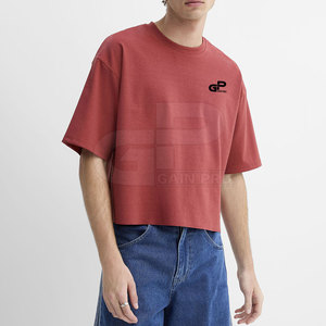 Camiseta Corta de Corte Cuadrado para Hombre con Diseño Moderno de Streetwear, Mangas Anchas, Estructura Relajada y Estilo Urbano a la Moda - Product Image 4