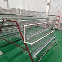 Cage à poulets galvanisée, cage à volailles, système de cages en batterie pour poules pondeuses pour l'élevage commercial de poules pondeuses
