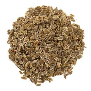 High Wholesale Price on Pure <strong>Essential</strong> Oil High Content Carvone <strong>Good</strong> Quality Dill Seed From Melaleuca Excellent Value - Product Image 3