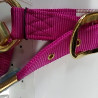 Cabestro de Latón Pulido para Caballo Miniatura con Turquesa, Collar de Cabeza Resistente para Caballo, Equipo de Equitación, Kanpur, India