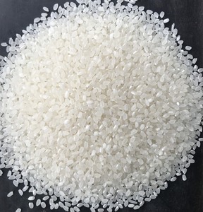 Tipo DS1 exclusivo de JAPONICA de Vietnam para exportadores de arroz de alimentos y minoristas de supermercados Curto Arroz Jasmine Rice - Product Image 4