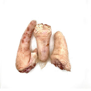 Fourniture en gros de queues de porc congelées en vrac de haute qualité congelées et fraîches pour l'exportation - Product Image 6