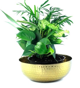 Cuenco de latón inspirado en la herencia-Latón 100%, hecho a mano para la decoración atemporal del hogar. - Product Image 2