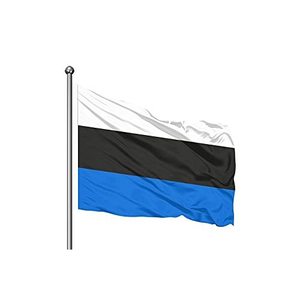 Estonia Outdoor Pennant <b>Flag</b> Digital Print on Silk and Polyester with Aluminum and Fiberglass <b>Pole</b> - Product Image 3