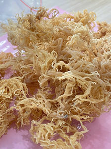 ดอกคอตตอนจากเวียดนาม, สาหร่ายสีม่วงธรรมชาติ, มีหรือไม่มีเงี่ยง, ตากแห้งและเค็ม, สำหรับเยลลี่และสูตรของหวาน - Product Image 6