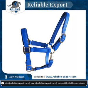 Best Buy Cheval équestre PP Halter fait à la main avec Noseband rembourré Disponible en plusieurs couleurs de qualité supérieure - Product Image 5