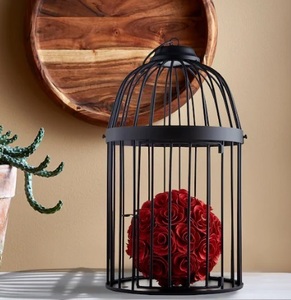 Nickle Plated Outdoor and Indoor Hanging Standing Iron Wire Silver Finished Pet <b>Parrot</b> Bird <b>Cages</b> for Sale - Product Image 2