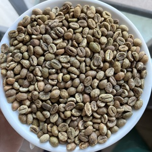 Granos de Café Verde Robusta de Vietnam S16, Proceso Limpio, con Precio Accesible para Mayoristas, Calidad de Exportación - Product Image 1