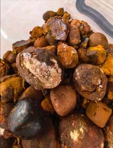 3G NATURE NIU HUANG HERB MEDICINA GANADO BUEY VACA GALLIAS BEZOAR HIERBA - Product Image 5