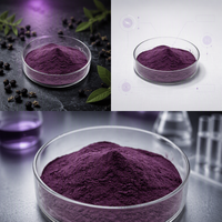 Zwarte Goji-sappoeder, bulk zwarte Goji-bessensappoeder anthocyanen, populaire zwarte Goji-bessenextract