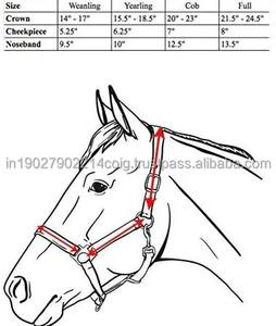 Brown Designer Six Fancy Rembourré Halter-Laiton Nickel Quincaillerie Réglable Cheval Halter Fabriqué en Inde Avec 100% Cuir Véritable - Product Image 6