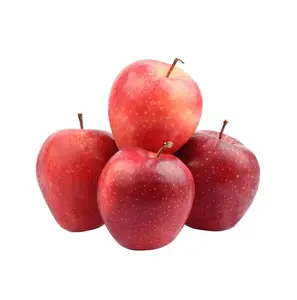 Delicious Wholesale Juicy Apple Fruit Gala Red Apples Starking Green Apple Best Price