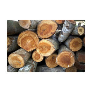 Leña de caoba asequible suministrada a granel con entrega global confiable - Product Image 5