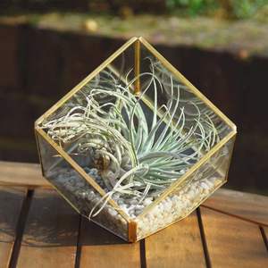 Beau terrarium en métal et en verre fait à la main pour la décoration de table de jardin de maison moderne affichage de plantes d'intérieur et d'extérieur - Product Image 1