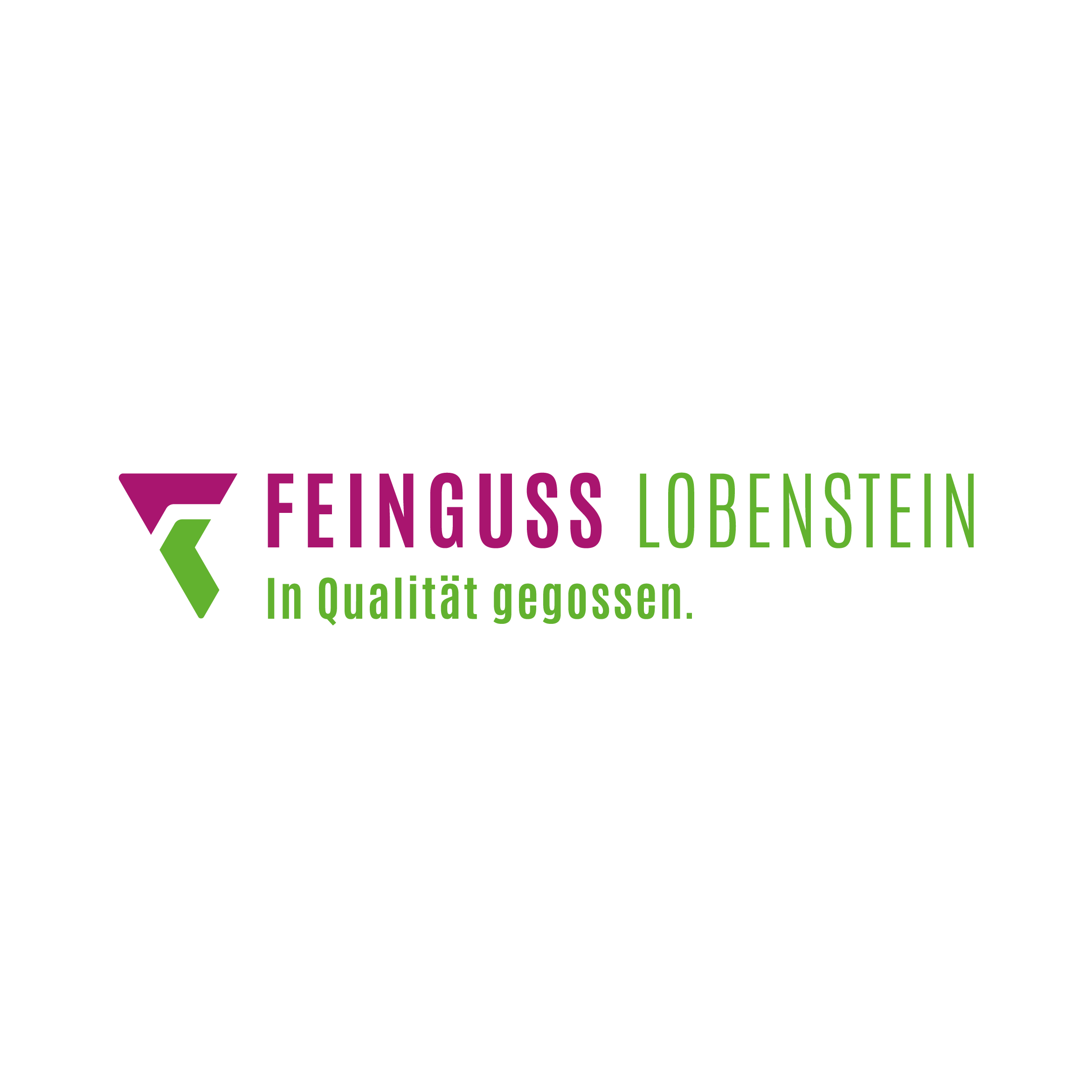 Feinguß Lobenstein GmbH logo