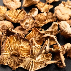 Champignons séchés en vrac de qualité supérieure Arôme riche pour les acheteurs en gros Offrant des champignons séchés de la meilleure qualité pour des plats sains - Product Image 3