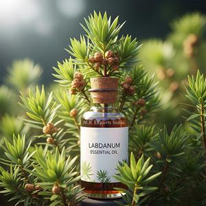 Aceite esencial de Labdanum puro para perfumería y aromaterapia 100% Cistus Ladaniferus natural a granel al por mayor de alta calidad - Product Image 2