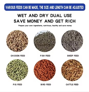 Molino de pellets de alimentación de aves de corral automático de alto rendimiento para granjas de ganado y aves de corral para la venta - Product Image 6