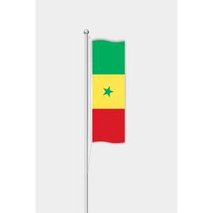 Drapeau vertical extérieur personnalisé 3x5 pieds du Sénégal, impression numérique sur soie et polyester, mât en aluminium, logo personnalisé - Product Image 1