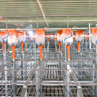 Porc enceinte cochonné cochonnée cochonnée cochonnée Conception à 2 portes galvanisée à chaud comprenant une goulotte d'alimentation et du carton Fabriqué au Vietnam