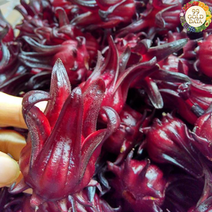 Bayas de Goji Naturales de Origen Vietnamita, Fruta de Lycium Seca para Té, Sabor y Uso como Ingrediente - Product Image 3