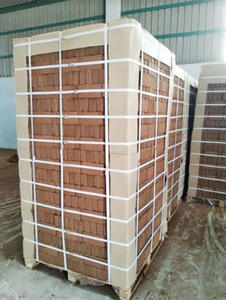 Tourbe de coco pour la plantation, fabriquée à partir de fibres de coco, terreau organique pour la plantation, 5 kg par pièce - Product Image 4