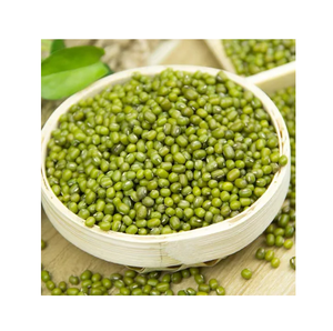 Haricots mungo verts de bonne qualité du Myanmar ou de toute autre origine disponibles en vrac frais Stock au prix de gros avec livraison rapide - Product Image 5