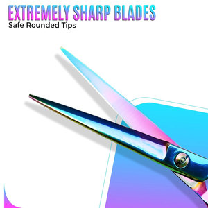 Ciseaux de coiffeur professionnels Ciseaux de coupe de cheveux de qualité supérieure de 6.5 pouces Ciseaux de coiffure en acier inoxydable pour hommes et femmes - Product Image 2