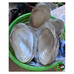 Assiette décorative en coquillage pour décoration de table, assiette décorative en coquillage faite à la main, assiette décorative en coquillage pour bijoux, exportation - Product Image 1